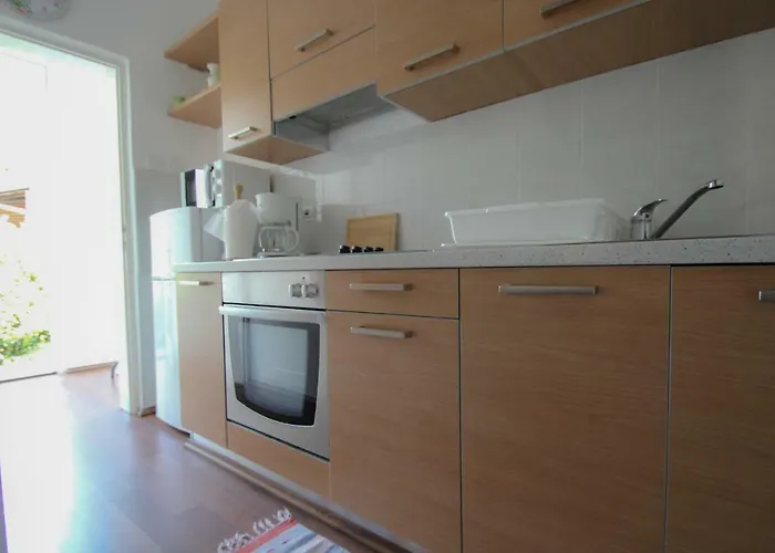 Karpinjan Novigrad Istria