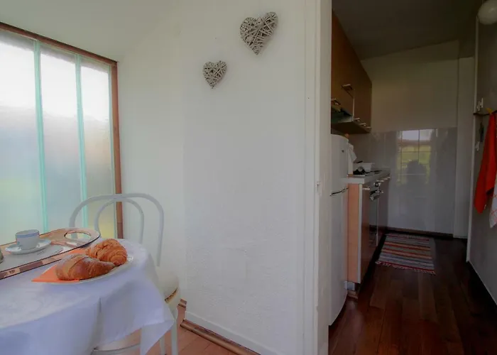 Vakantiehuis Karpinjan Novigrad Istria